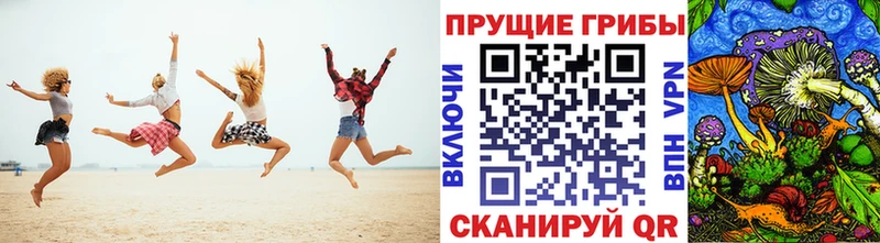 Галлюциногенные грибы Cubensis  Нахабино 